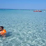 I Tulipani Di * Torre Pali