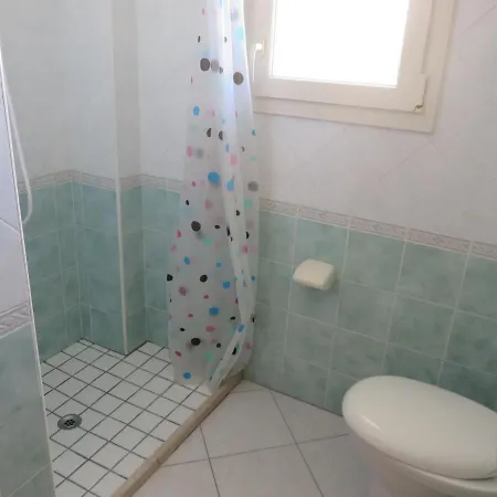 I Tulipani Di *